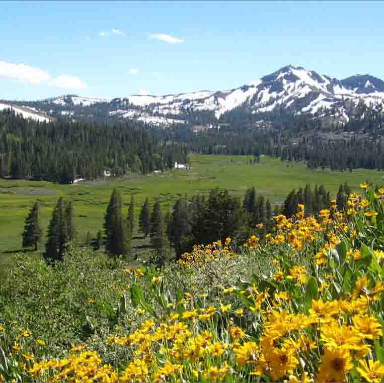 Lake Tahoe & High Sierra